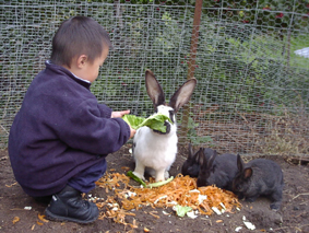 Rasmus og kaninerne.